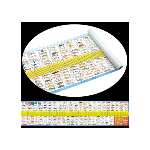 Fish ID Maxi Ruler With Detailed Fish Illustrations For Quick Identification